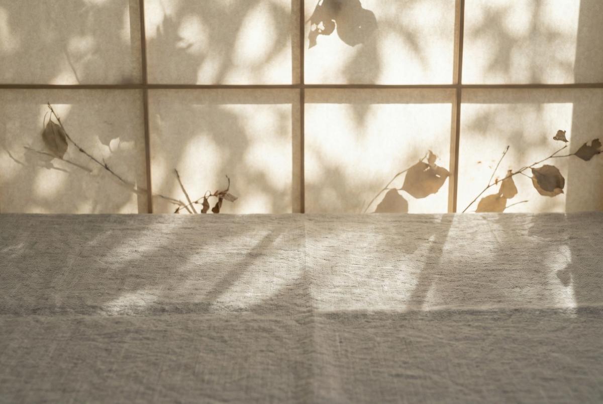 蘑菇视频-光影斑驳自然质感演示视频